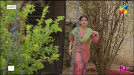 Tan Man Neel o Neel - Episode 04 - 28th December 2024